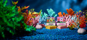 SpongeBob 4-Pack Q4