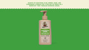 Cool Fresh Aloe Lotion A4