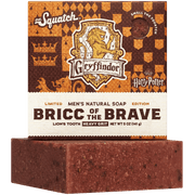 Bricc of the Brave V7