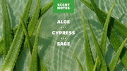 Cool Fresh Aloe Conditioner C1