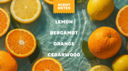 Summer Citrus Hand Soap G9