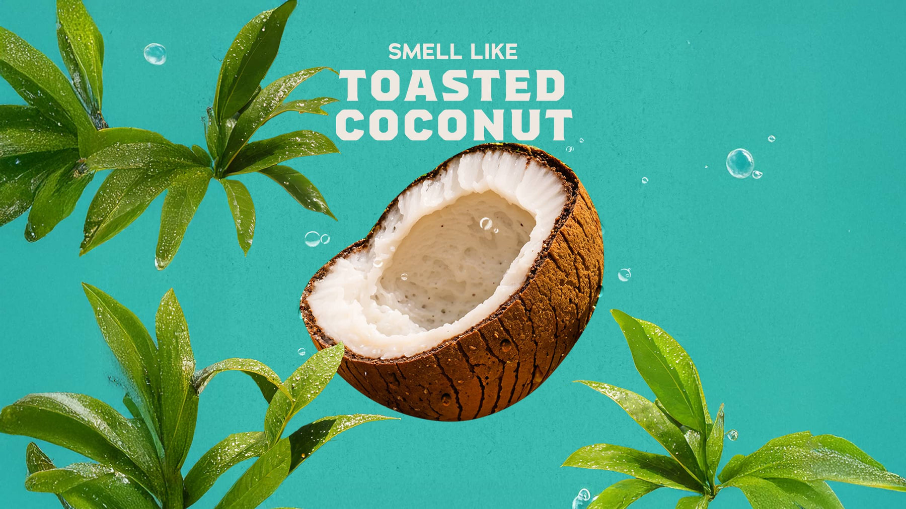 Coconut Castaway Lotion V2