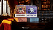 Destiny Duel 2-Pack Q1